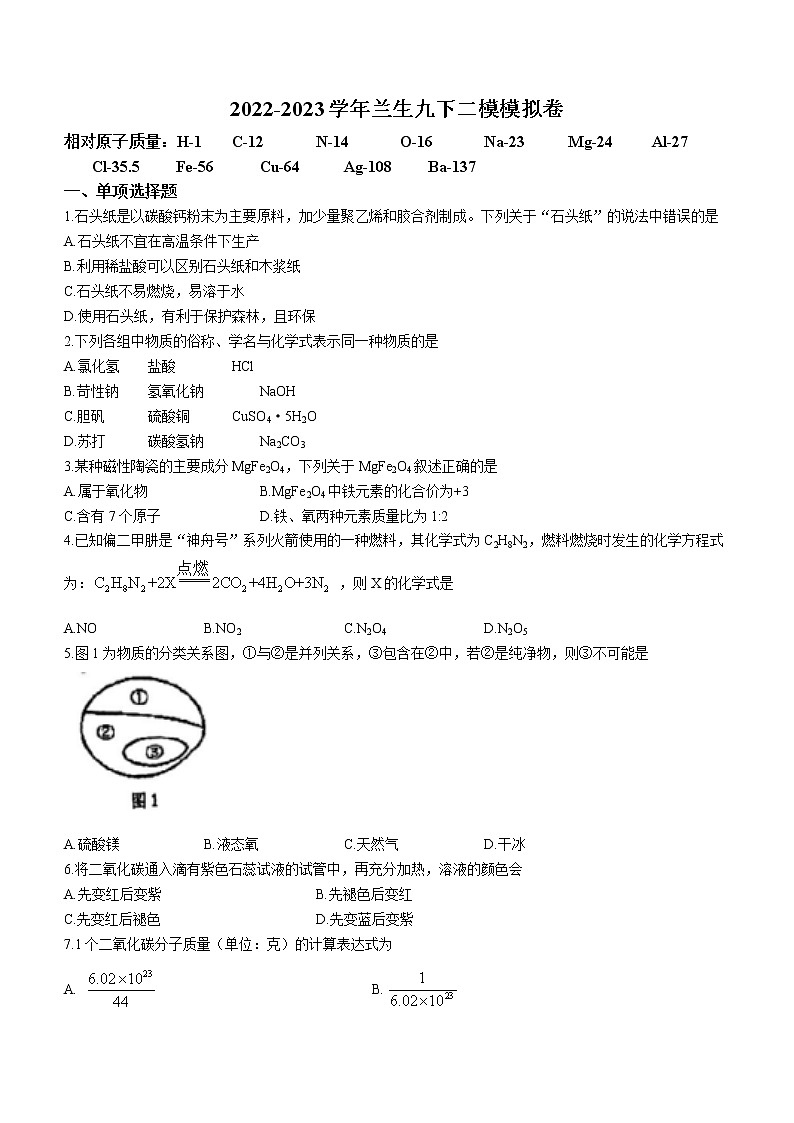 2023年上海市杨浦区兰生复旦中学中考二模模拟化学试题（含答案）01