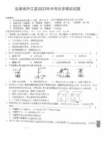 2023年安徽省庐江县中考模拟化学试题