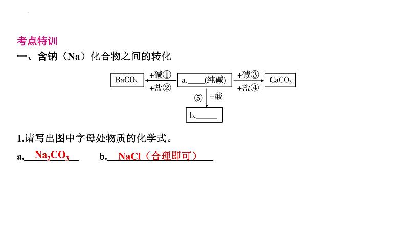 2023年中考化学复习考点过关----常见的盐及化学肥料课件第2页