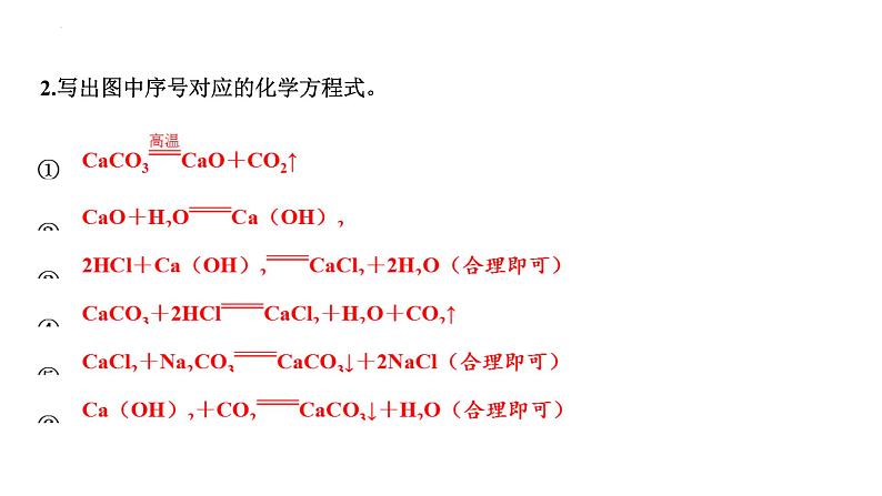 2023年中考化学复习考点过关----常见的盐及化学肥料课件第5页