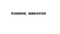 2023年中考化学复习考点过关---常见的酸和碱、酸碱的化学性质课件