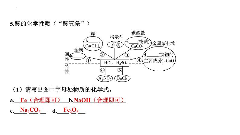 2023年中考化学复习考点过关---常见的酸和碱、酸碱的化学性质课件05