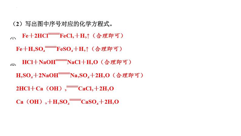 2023年中考化学复习考点过关---常见的酸和碱、酸碱的化学性质课件06