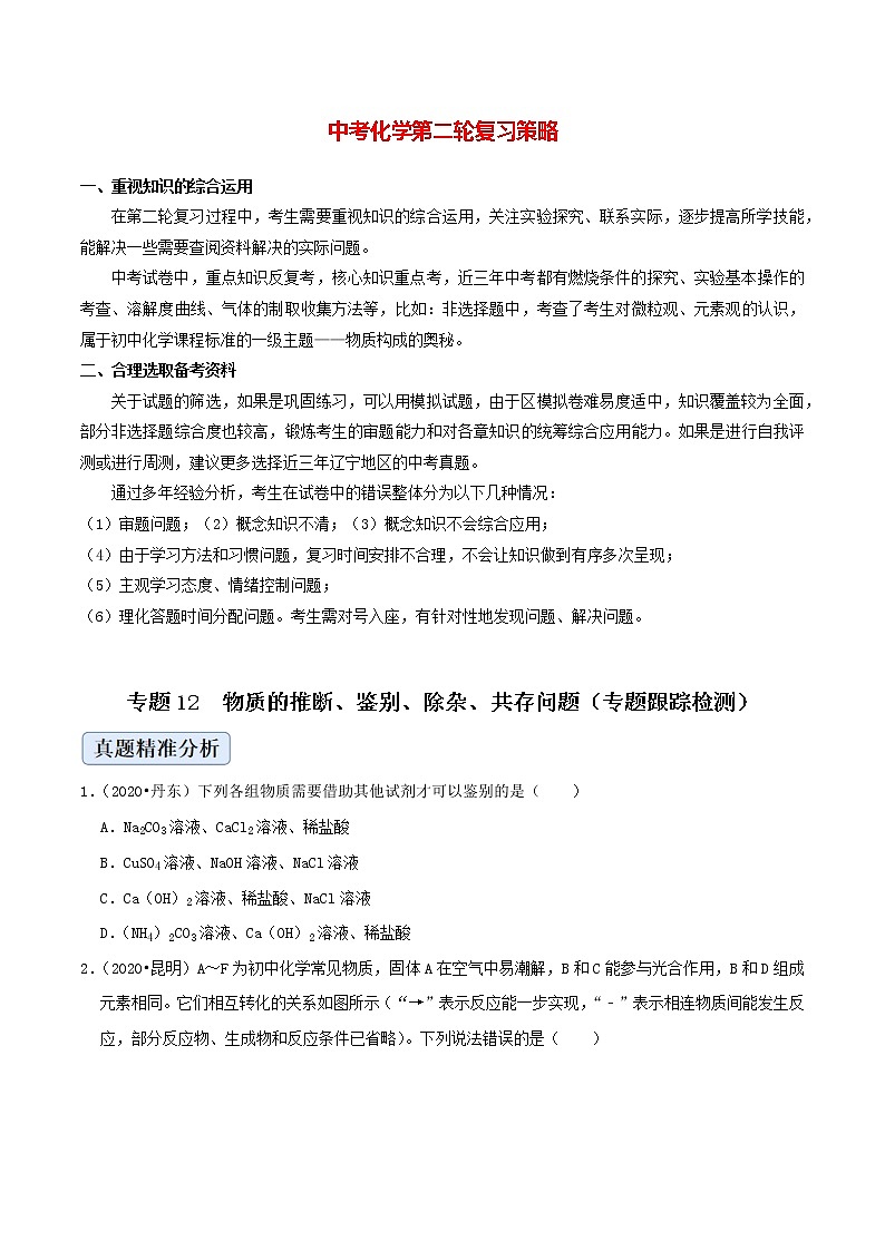 专题12  物质的推断、鉴别、除杂、共存问题（专题跟踪检测）（学生版）第1页