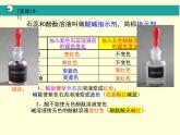 10.1常见的酸和碱课件