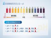 10.2酸和碱的中和反应（第2课时）课件
