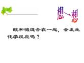 10.2酸和碱的中和反应课件