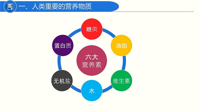 12.1人类重要的营养物质课件PPT03