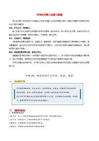 中考化学三轮冲刺过关  专题09 实验的设计与评价，除杂，检验