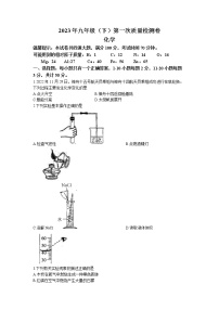 湖南省邵阳市绥宁县2022-2023学年九年级下学期3月月考化学试题