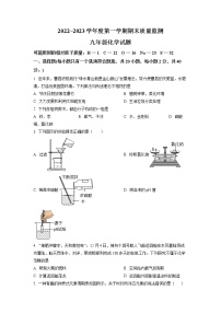 云南省保山市施甸县2022-2023学年九年级上学期期末化学试题