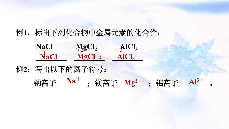 中考化学复习基础梳理第14课时化学式和化合价课件第5页