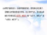 中考化学复习新课标跨学科实践题推荐作业课件