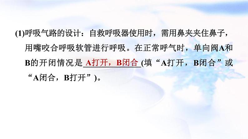 中考化学复习新课标跨学科实践题推荐作业课件第4页