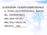 中考化学复习新课标跨学科实践题推荐作业课件