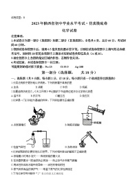 2023年陕西省初中学业水平考试仿真摸底化学试题B(含答案)