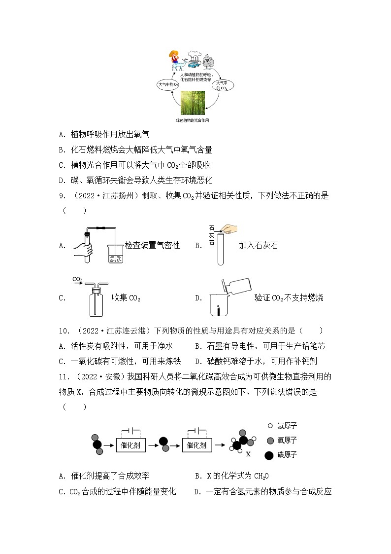 化学专题三： 碳和碳的化合物----（中考真题）（原卷版）第2页