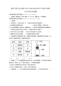 内蒙古通辽市科尔沁区第七中学2022-2023学年九年级下学期3月月考化学试题