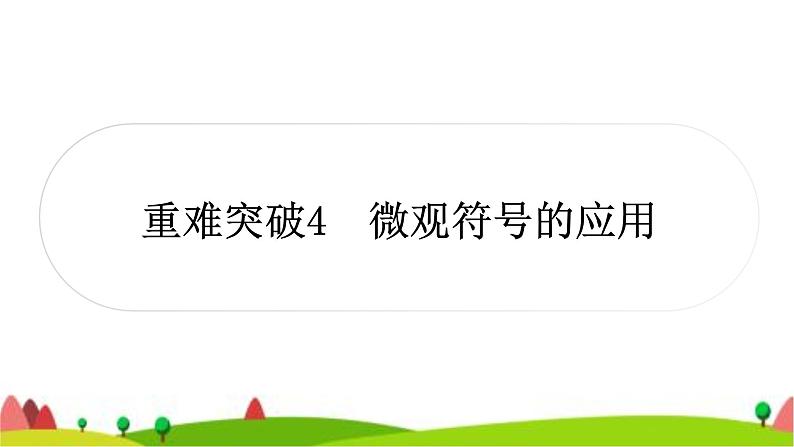 中考化学复习重难突破4微观符号的应用作业课件第1页