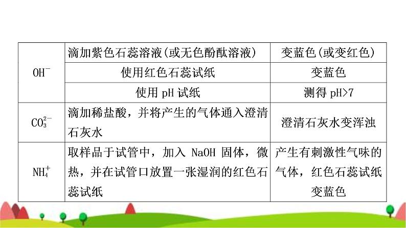 中考化学复习重难突破8物质的检验与鉴别作业课件06