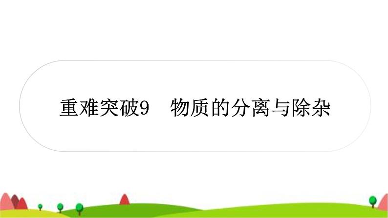 中考化学复习重难突破9物质的分离与除杂作业课件第1页