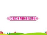 中考化学复习第五单元化学方程式作业课件