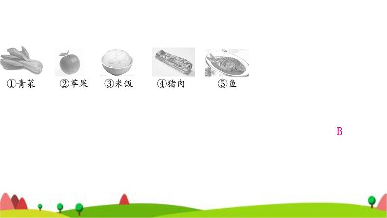 中考化学复习第十二单元化学与生活作业课件05