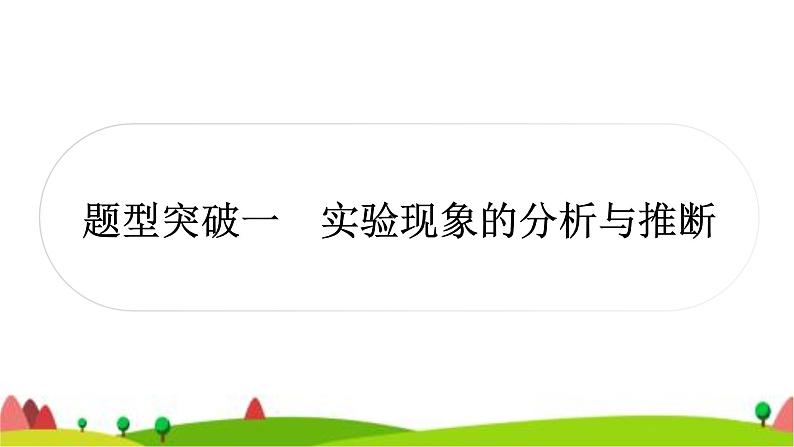 中考化学复习题型突破一实验现象的分析与推断作业课件02