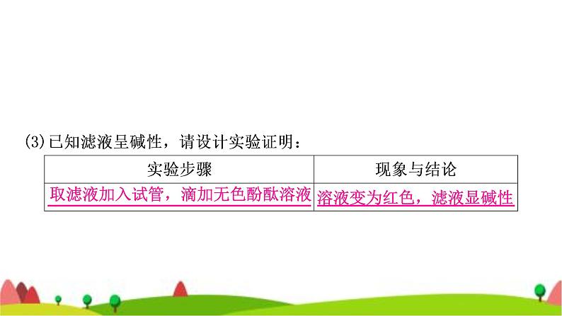 中考化学复习题型突破七实验探究题(针对第16题)作业课件第5页