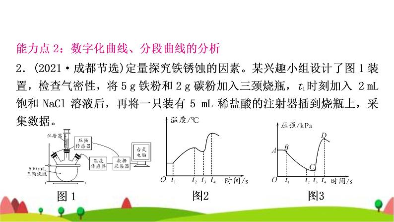 中考化学复习题型突破七实验探究题(针对第16题)作业课件第8页