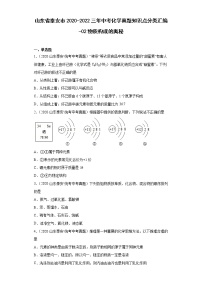 山东省泰安市2020-2022三年中考化学真题知识点分类汇编-02物质构成的奥秘