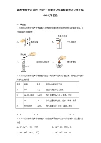 山东省泰安市2020-2022三年中考化学真题知识点分类汇编-08化学实验