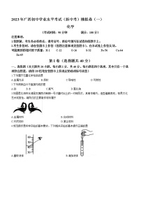 2023年广西壮族自治区贵港市中考一模化学试题（含答案）