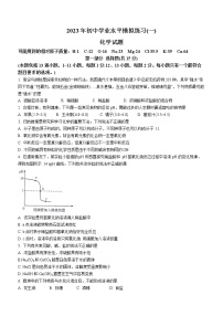 2023年辽宁省沈阳市大东区中考零模化学试题（含答案）