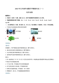 【化学一模】2023年芜湖市九年级毕业暨升学模拟考试（一）化学试题（含解析）