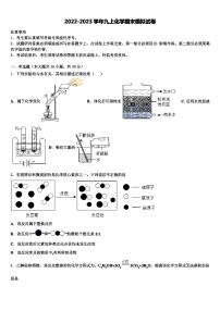 2022-2023学年河南省濮阳县区联考九年级化学第一学期期末学业质量监测试题含解析