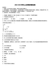 2022-2023学年山东省临沂市12中学九年级化学第一学期期末复习检测模拟试题含解析