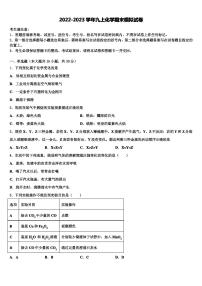 2022-2023学年山东省临沂市兰山区部分学校化学九年级第一学期期末考试试题含解析