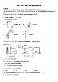 2022年山西省朔州市朔城区四中学化学九年级第一学期期末综合测试模拟试题含解析