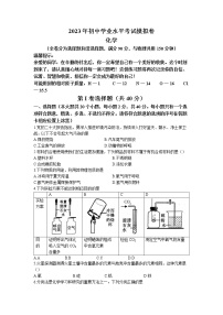 2023年云南省临沧市耿马傣族佤族自治县中考一模化学试题