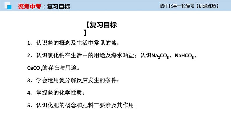 初中化学一轮复习课件  专题08 盐与化肥（讲通练透）04