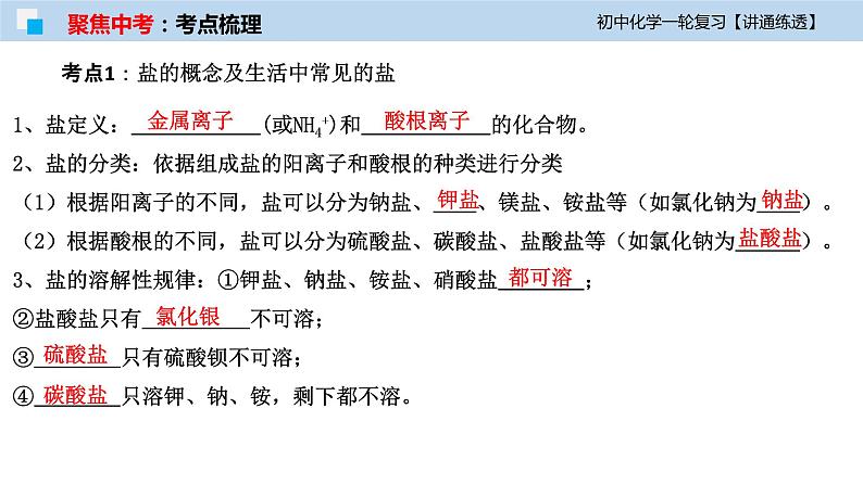 初中化学一轮复习课件  专题08 盐与化肥（讲通练透）06