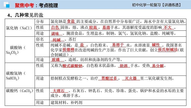 初中化学一轮复习课件  专题08 盐与化肥（讲通练透）07