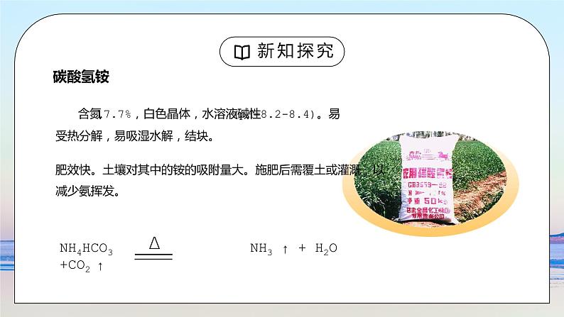 人教版九年级化学下册第四单元《盐化肥-化学肥料》PPT课件第6页