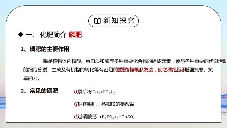 人教版九年级化学下册第四单元《盐化肥-化学肥料》PPT课件第7页