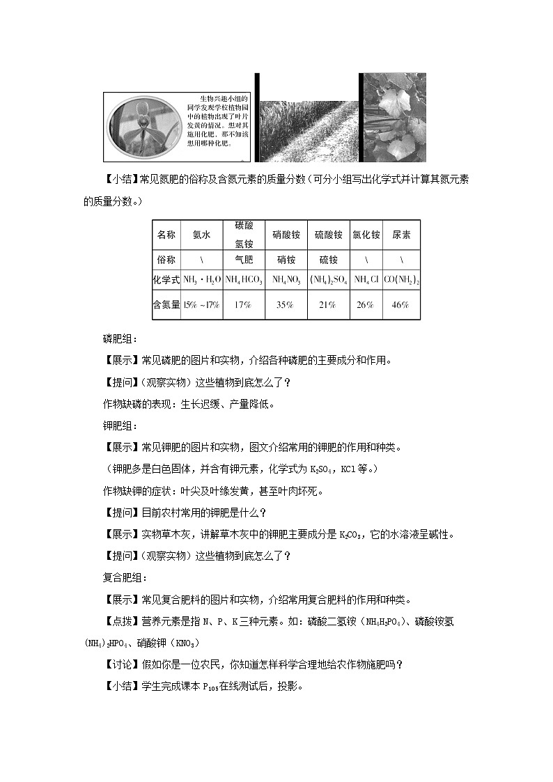鲁教版（五四制）化学九年级全一册教案 6.3 化学与农业生产第3页