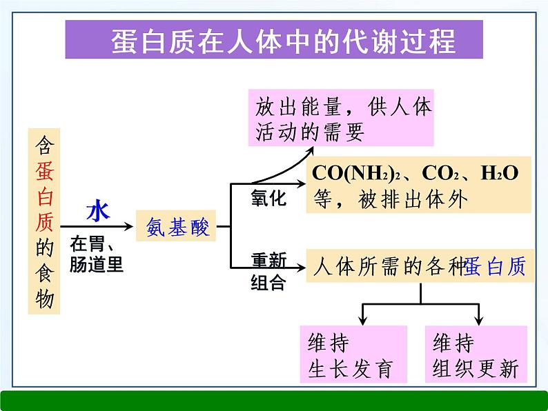 第十二单元课题一人类重要的营养物质课件  九年级化学人教版下册 (1)07