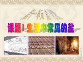 第十一单元课题一生活中常见的盐课件  九年级化学人教版下册