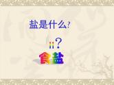 第十一单元课题一生活中常见的盐课件  九年级化学人教版下册