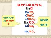第十一单元课题一生活中常见的盐课件  九年级化学人教版下册